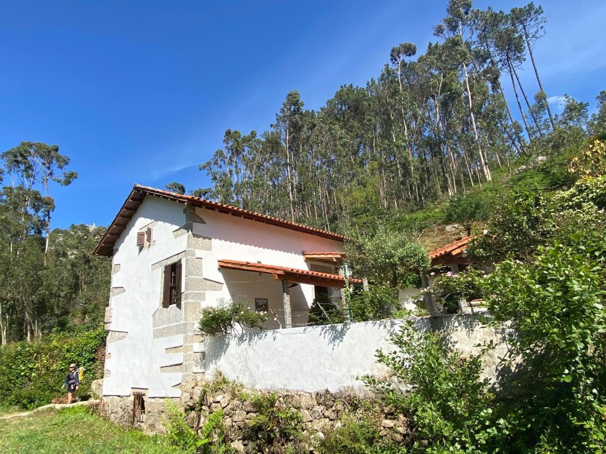Casa Da Azenha Branca Villa Castelo Do Neiva Exterior foto
