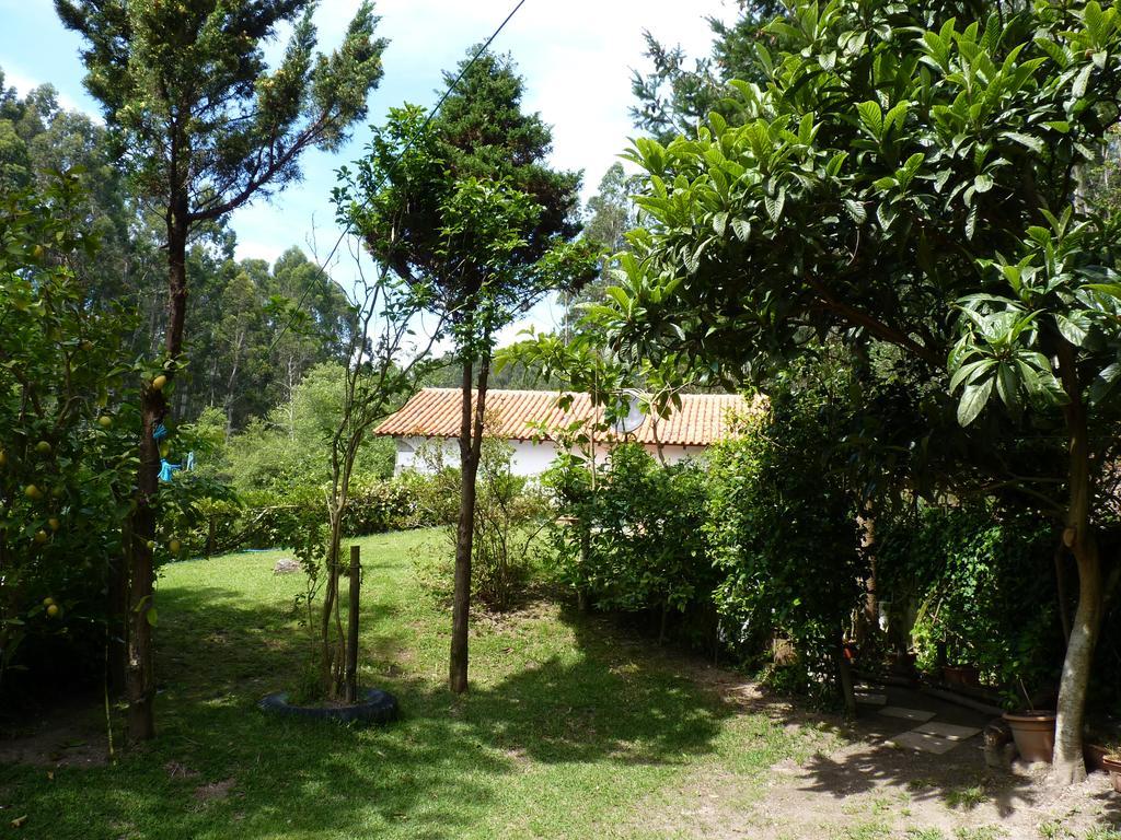 Casa Da Azenha Branca Villa Castelo Do Neiva Exterior foto